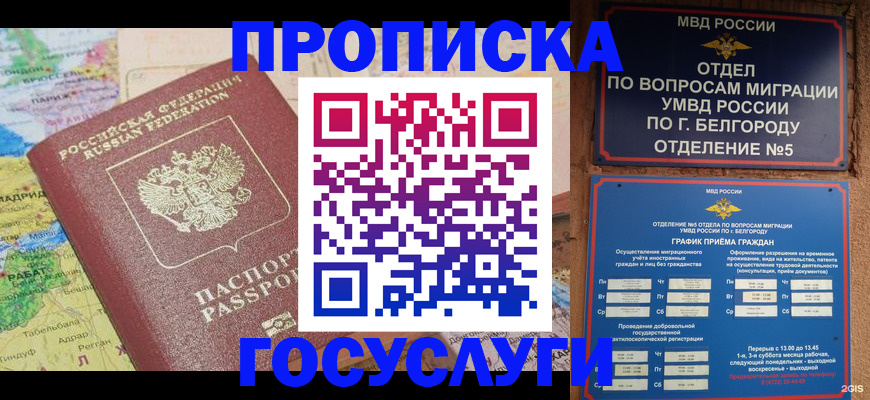 прописка регистрация в Зее